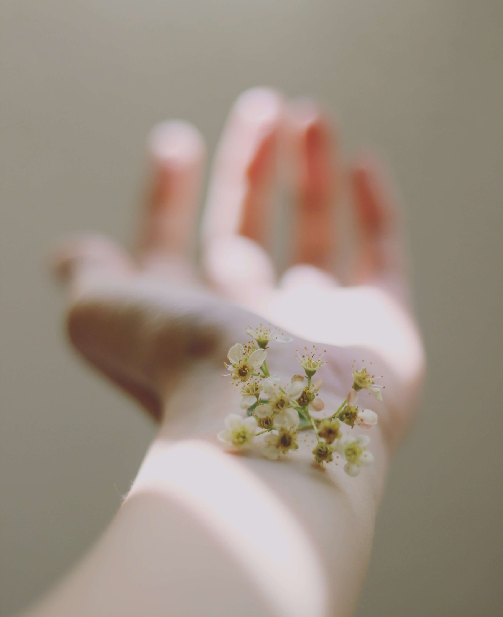 pequena-flor-en-brazo-extendido